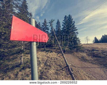 Red Sign Post Pointing Into A Forest.