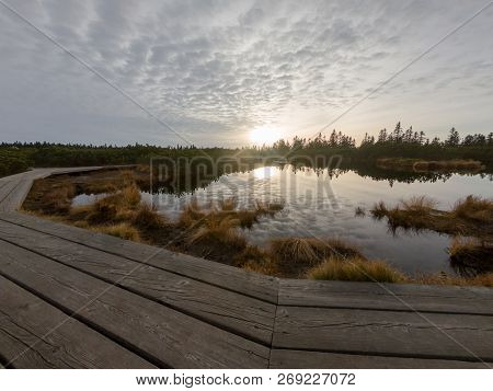 Wooden Boardwalk Crossing Marshes Surrounded With Bushes.