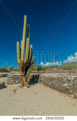 Ruins Of Ancient Pre-inca Town Quilmes, Argentina