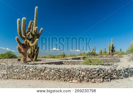 Ruins Of Ancient Pre-inca Town Quilmes, Argentina
