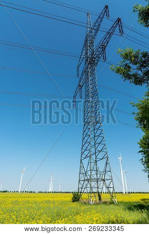Electricity Pole In A Field Of Bloooming Rapeseed Seen In Germany