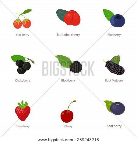 Fruit Icons Set. Cartoon Set Of 9 Fruit Icons For Web Isolated On White Background