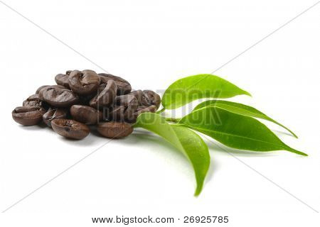  Kaffee Körner und Blätter