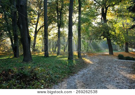 Morning In The Autumn September Park. Park 