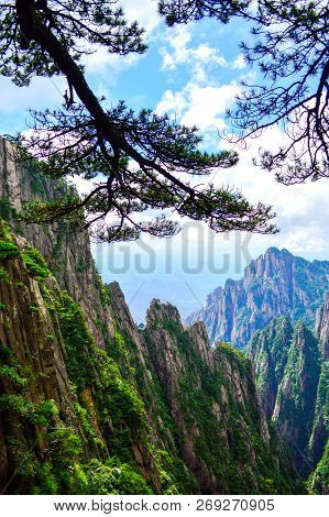 Huangshan (yellow Mountain) Cliffs And Huangshan Pine. Located At Anhui Province China, Huangshan Is