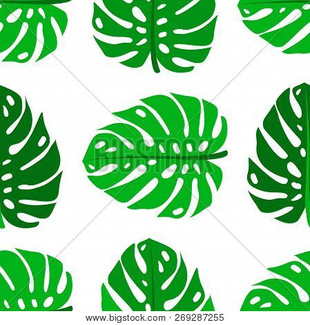 Green Pattern With Monstera Palm Leaves On White Background. Seamless Summer Monstera Tropical Fabri