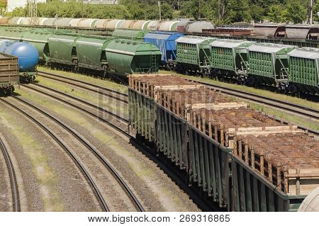 Railway Cars Loaded With Forest, The Train Transports Trees. Many Different Cars