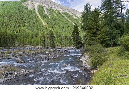 Altai Mountains. The Shawla River Above The Estuary Of The Yeshtykol River. August. Siberia, Russia.
