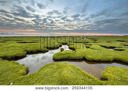 Erosion Holes In The Tidal Marsh Meadow Of Dollard At The Punt Van Reide In The Waddensea Area On Th
