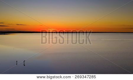 People Silouettes At Lake At Sunset  Aerial Photo