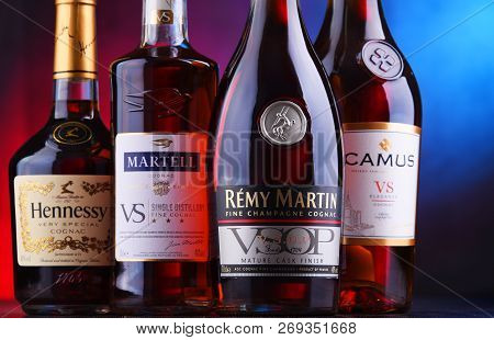 Bottles Of Famous Cognac Brands