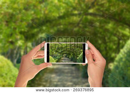 A Tourist Is Taking A Photo Of A Path In A Public Park In Florence With A Roof Made Of Grapevine On 