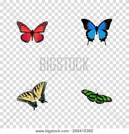 Set Of Moth Realistic Symbols With Pink-wing, Birdwing, Polyommatus Icarus And Other Icons For Your 