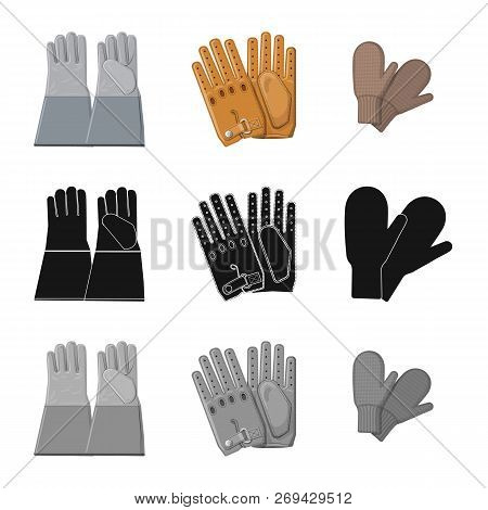 Vector Illustration Of Glove And Winter Sign. Collection Of Glove And Equipment Vector Icon For Stoc