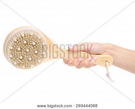 The Brush From Cellulite In Hands On A White Background. Isolation