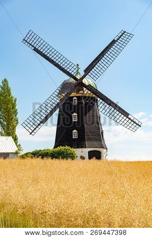 Wheat Windmill. Harvest Concent. The Stock Photo.