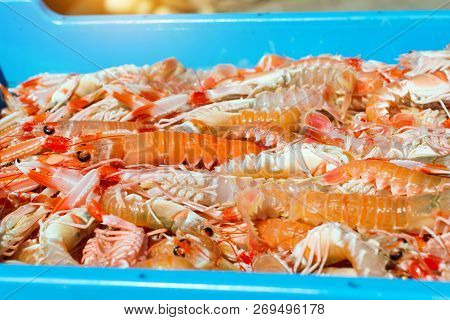 Blue Plastic Containers With Catch Of Sea Shrimps