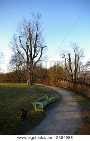 Panchina del parco