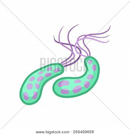 Virus Of Cholera. Pathogenic Bacteria. Infectious Disease. Microbiology Theme. Flat Vector Design