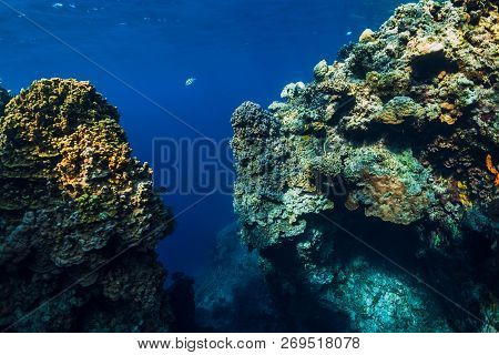 Underwater Rocks With Coral Reef In Ocean. Menjangan Island, Bali