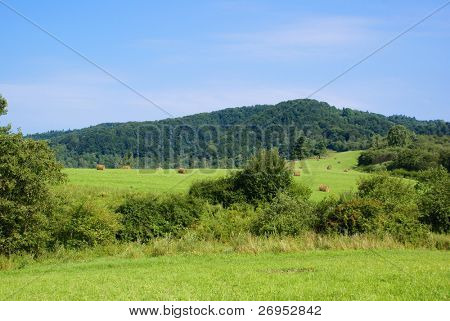 Haymaking (Bieszczady โปแลนด์) ใน