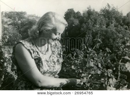 Vintage unretouched fotó nő (ötvenes / hatvanas évek)
