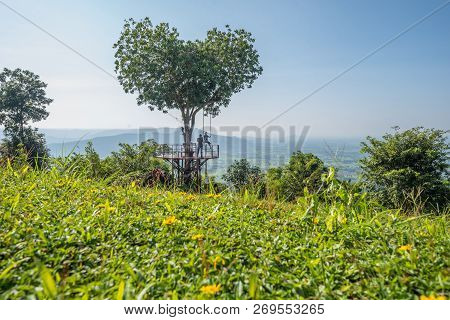 Phitsanulok ,thailand - October 12,2018 : The Thai Tourist Enjoy With Swing On Giant Heart Tree In 