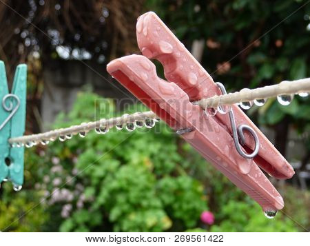 Close-up Of Clothes Rack Just After Rain