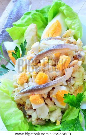 Forshmak - antipasto tradizionale ebraica con aringa