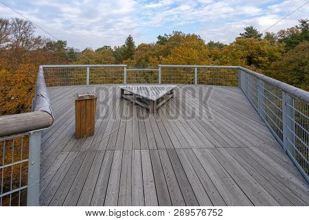 View To The Forest From A Viewing Plattform At Fall Time