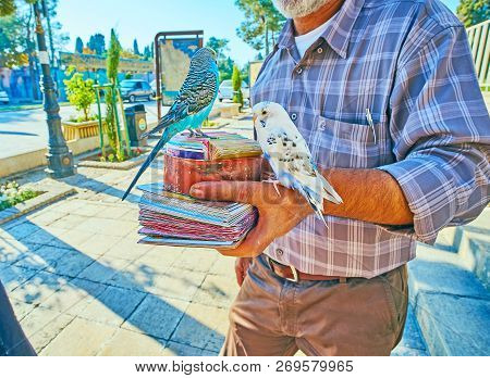 Shiraz, Iran - October 12, 2017: The Fortune Seller With Parrots Next To The Hafez Tomb, Birds Choos
