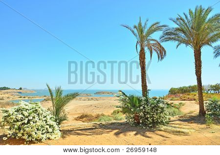 Lago Nasser in Egitto, mostra da Abu Simbel