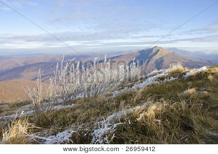 Pierwszych przymrozków (Połoninę Wetlińską, Bieszczady, Polska)