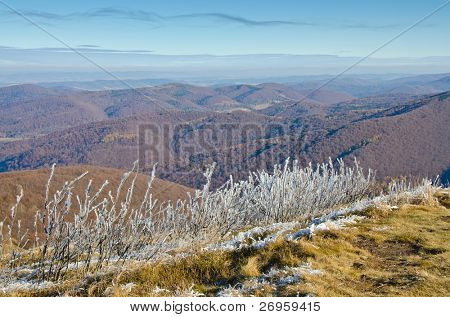 Pierwszych przymrozków (Połoninę Wetlińską, Bieszczady, Polska)