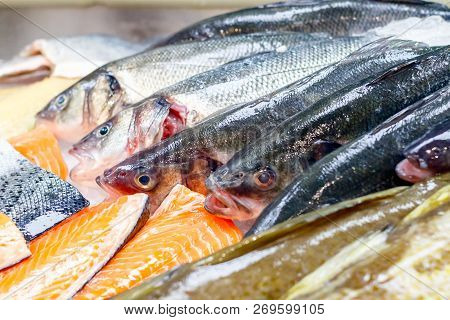 Fresh Mackerel And Salmon On Ice For Sale At Billingsgate Fish Market In Poplar In London