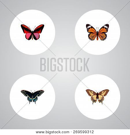 Set Of Butterfly Realistic Symbols With Checkerspot, Danaus Plexippus, Agrias Claudina And Other Ico