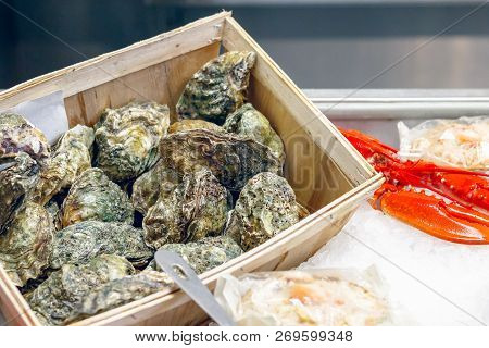 Fresh Oysters On Display At Billingsgate Fish Market In Poplar In London