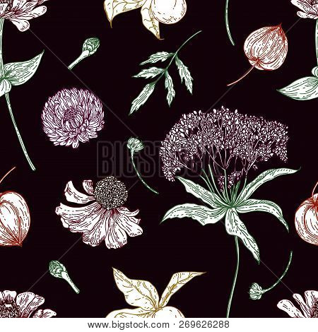 Autumn Botanical Vector Floral Seamless Pattern With Flowers On Black Background In Lines. Bright Co