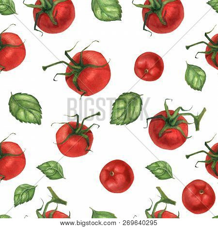 Vegan Watercolor Seamless Pattern With Basil Leaves And Ctomato. White Background, Isolated, Clippin