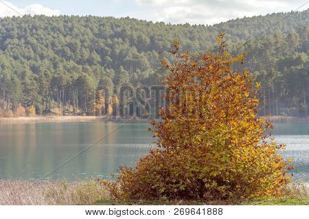 View Of The Blue, Clean, Mountain Lake Doxa And Trees With Yellow Leaves (greece, Region Corinthia, 