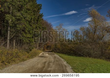 Color Path Near Nice Autumn Forest Near Pitin Village