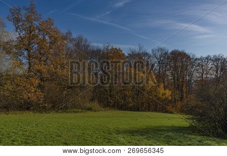 Color Path Near Nice Autumn Forest Near Pitin Village