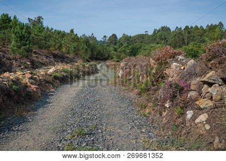 Panoramic Landscape Along The Camino De Santiago Trail Between Lugo And Melide, Galicia, Spain