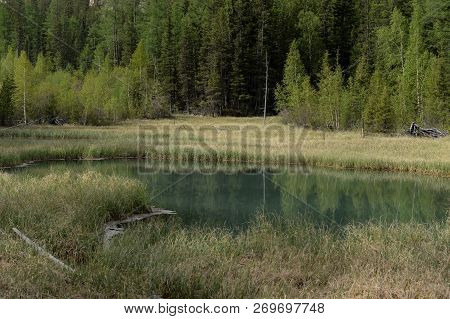 Blue Geysernoe Lake, Near The Village Of Aktash, Ulagansky District, Gorny Altai, Siberia