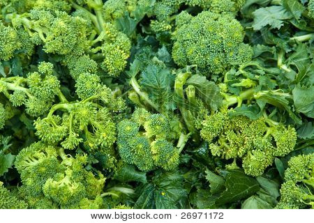 Brocoli