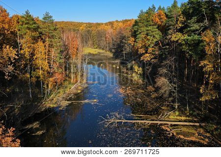 Aerial View Of The Water, Swampy Terrain And Meadows