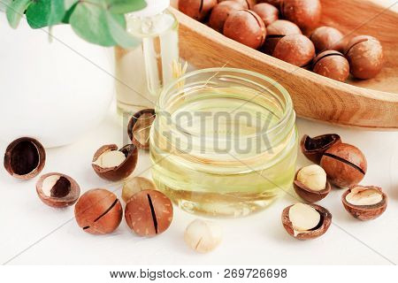 Macadamia Nuts And Jar Of Cosmetic Holistic Oil For Skincare. Organic Beauty Product At Home Spa.