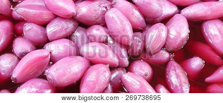 Background Of Many Sweet Red Onions Called Cipolla Of Tropea In Italian Language