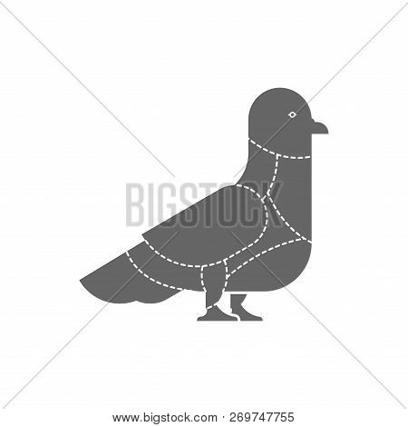 Cut Of Meat Dove. Pigeon Silhouette Scheme Lines Of Different Parts Meat. How To Cut Flesh Street Bi
