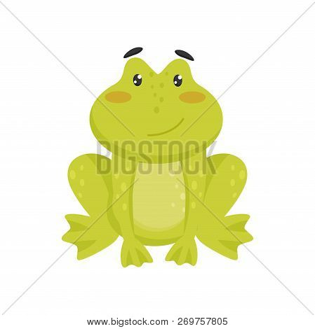 Flat Vector Icon Of Cute Smiling Frog. Cartoon Character Of Funny Green Toad With Pink Cheeks And Sh